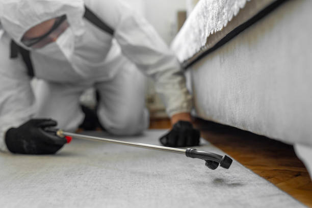 Professional Termite Control technician working in Lebanon, MO