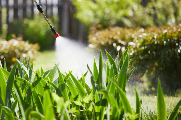 24/7 Emergency Termite Control experts in Lebanon, MO
